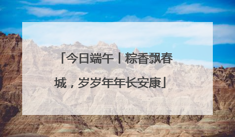 今日端午丨粽香飘春城，岁岁年年长安康
