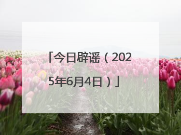 今日辟谣（2025年6月4日）