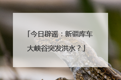 今日辟谣：新疆库车大峡谷突发洪水？