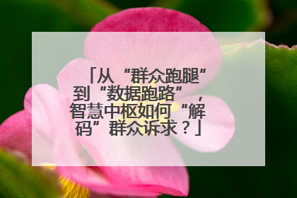 从“群众跑腿”到“数据跑路”，智慧中枢如何“解码”群众诉求？