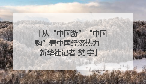 从“中国游”“中国购”看中国经济热力 新华社记者 樊 宇