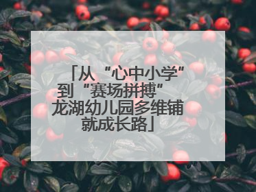 从“心中小学”到“赛场拼搏” 龙湖幼儿园多维铺就成长路