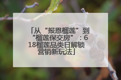 从“报恩榴莲”到“榴莲保交房”：618榴莲品类日解锁营销新玩法