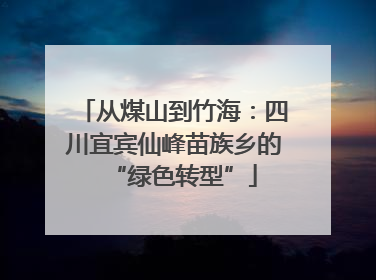 从煤山到竹海：四川宜宾仙峰苗族乡的“绿色转型”