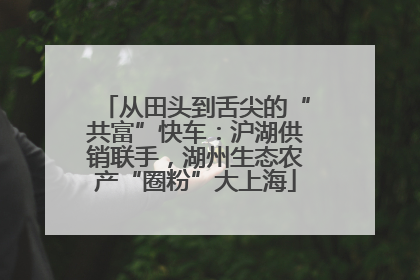 从田头到舌尖的“共富”快车：沪湖供销联手，湖州生态农产“圈粉”大上海