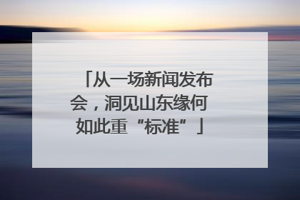 从一场新闻发布会，洞见山东缘何如此重“标准”