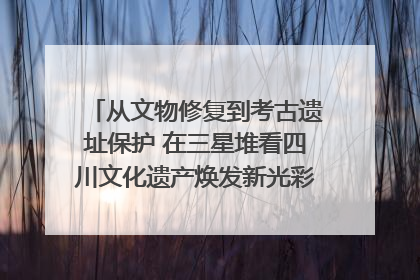 从文物修复到考古遗址保护 在三星堆看四川文化遗产焕发新光彩｜您牵挂的四川