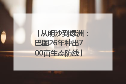 从明沙到绿洲：巴图26年种出700亩生态防线