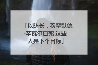 以防长：穆罕默德·辛瓦尔已死 这些人是下个目标