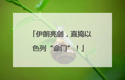 伊朗亮剑，直捣以色列“命门”！