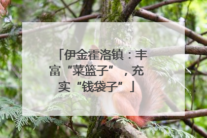 伊金霍洛镇：丰富“菜篮子”，充实“钱袋子”