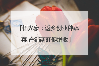 伍光豪：返乡创业种蔬菜 产销两旺促增收