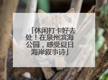 休闲打卡好去处！在泉州滨海公园，感受夏日海岸叙事诗