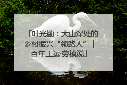 叶光勤：大山深处的乡村振兴“领路人”｜百年工运·劳模说