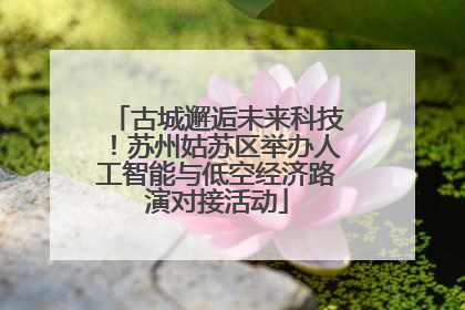 古城邂逅未来科技！苏州姑苏区举办人工智能与低空经济路演对接活动