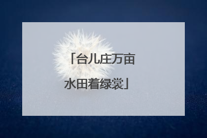 台儿庄万亩水田着绿裳