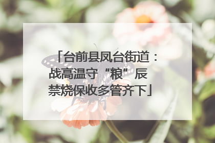 台前县凤台街道：战高温守“粮”辰 禁烧保收多管齐下