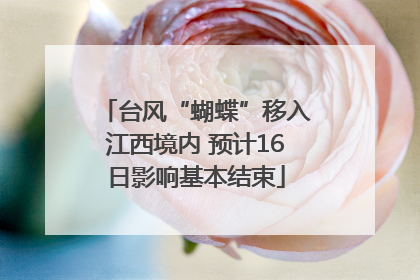 台风“蝴蝶”移入江西境内 预计16日影响基本结束