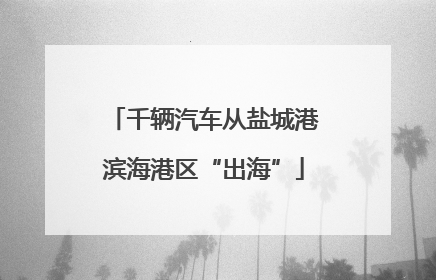 千辆汽车从盐城港滨海港区“出海”