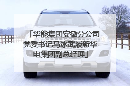 华能集团安徽分公司党委书记马冰武履新华电集团副总经理