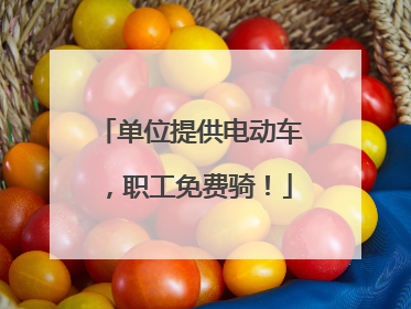 单位提供电动车，职工免费骑！