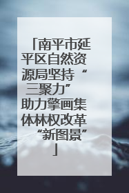 南平市延平区自然资源局坚持“三聚力” 助力擎画集体林权改革“新图景”