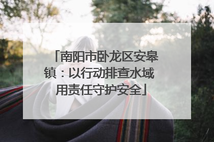 南阳市卧龙区安皋镇：以行动排查水域 用责任守护安全
