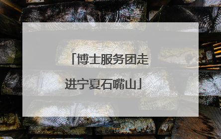 博士服务团走进宁夏石嘴山
