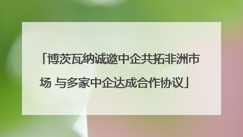 博茨瓦纳诚邀中企共拓非洲市场 与多家中企达成合作协议