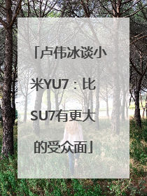 卢伟冰谈小米YU7：比SU7有更大的受众面