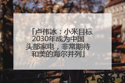 卢伟冰：小米目标2030年成为中国头部家电，非常期待和美的海尔并列