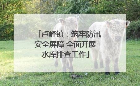卢峰镇：筑牢防汛安全屏障 全面开展水库排查工作