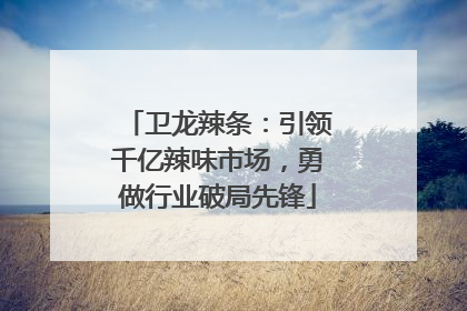 卫龙辣条：引领千亿辣味市场，勇做行业破局先锋