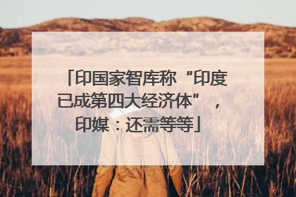 印国家智库称“印度已成第四大经济体”，印媒：还需等等
