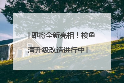 即将全新亮相！梭鱼湾升级改造进行中