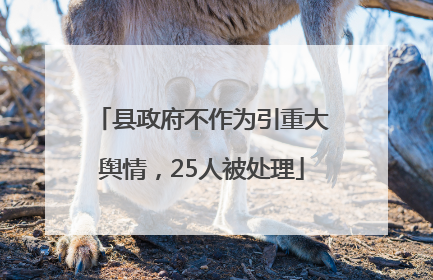 县政府不作为引重大舆情，25人被处理