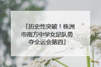 历史性突破！株洲市南方中学女足队勇夺全运会第四