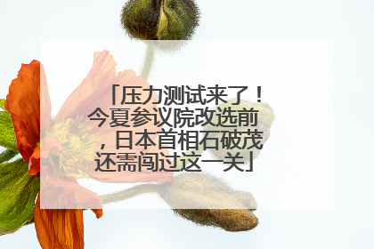 压力测试来了！今夏参议院改选前，日本首相石破茂还需闯过这一关