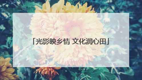 光影映乡情 文化润心田