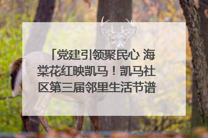 党建引领聚民心 海棠花红映凯马！凯马社区第三届邻里生活节谱写幸福新篇章