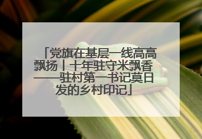 党旗在基层一线高高飘扬丨十年驻守米飘香——驻村第一书记莫日发的乡村印记