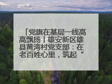 党旗在基层一线高高飘扬丨雄安新区雄县黄湾村党支部：在老百姓心里，筑起“一座山”