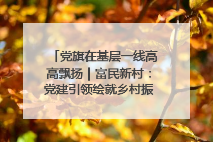 党旗在基层一线高高飘扬｜富民新村：党建引领绘就乡村振兴美丽画卷
