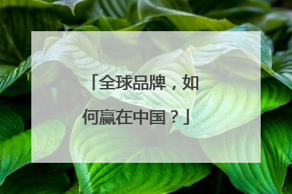 全球品牌，如何赢在中国？