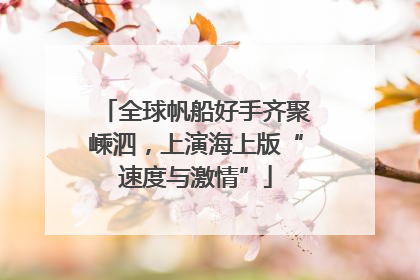 全球帆船好手齐聚嵊泗，上演海上版“速度与激情”