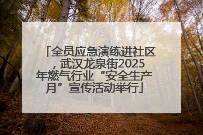 全员应急演练进社区，武汉龙泉街2025年燃气行业“安全生产月”宣传活动举行