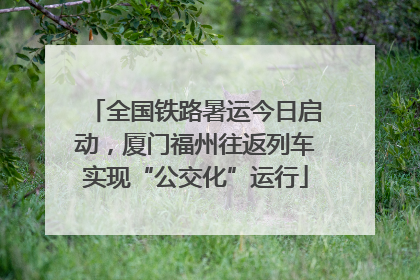 全国铁路暑运今日启动，厦门福州往返列车实现“公交化”运行