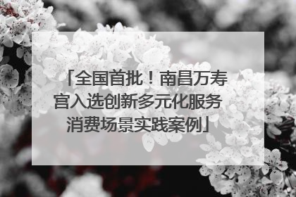 全国首批！南昌万寿宫入选创新多元化服务消费场景实践案例