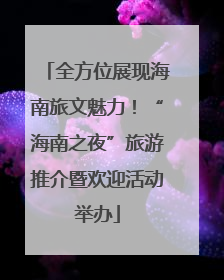 全方位展现海南旅文魅力！“海南之夜”旅游推介暨欢迎活动举办