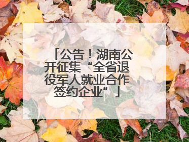 公告！湖南公开征集“全省退役军人就业合作签约企业”